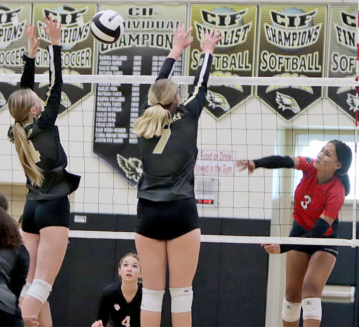 Blackhawks beat Wildcats